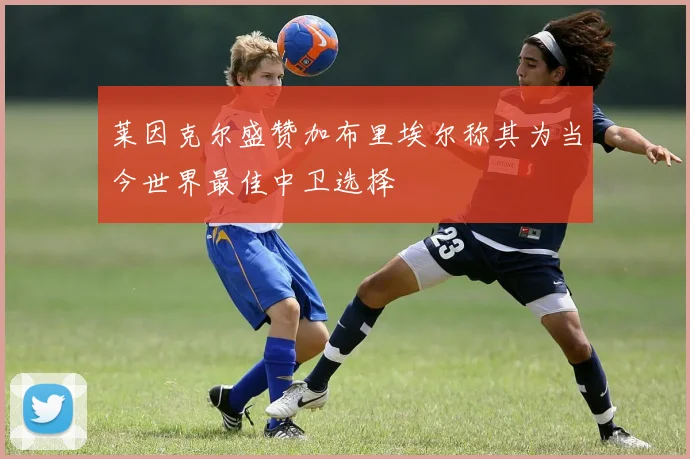 莱因克尔盛赞加布里埃尔称其为当今世界最佳中卫选择