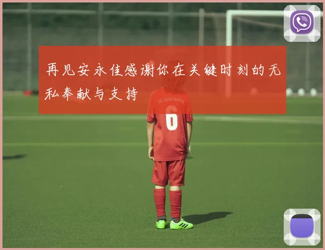 再见安永佳感谢你在关键时刻的无私奉献与支持