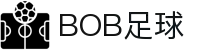 bob体育-BOB体育-全球足球赛事直播与分析|英超、欧冠、中超全覆盖